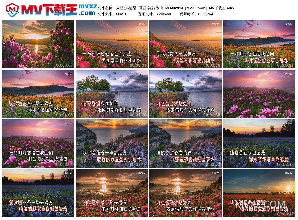 朱雪芬-情思_国语_流行歌曲_MD402913